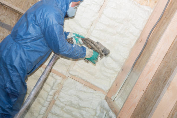 Eco-Friendly or Green Insulation Solutions in Marlene Village, OR